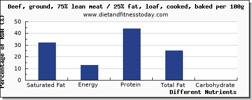 chart to show highest saturated fat in meatloaf per 100g